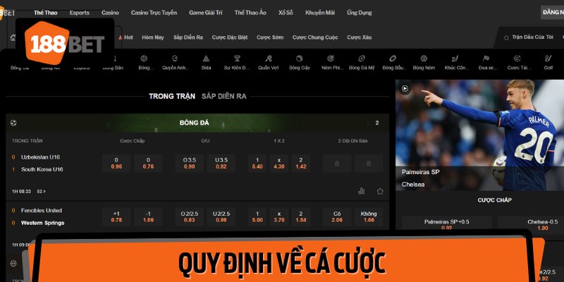 Người tham gia cần tuân thủ nghiêm ngặt các quy định về đặt cược
