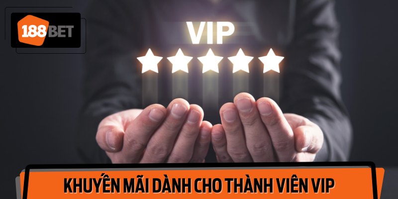 Khuyến Mãi Dành Cho Thành Viên VIP