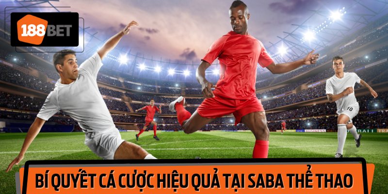 Bí Quyết Cá Cược Hiệu Quả Tại Saba Thể Thao