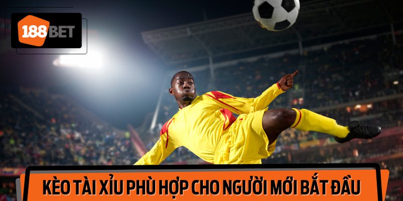 Kèo tài xỉu phù hợp cho người mới bắt đầu